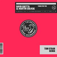 David Guetta & Martin Solveig – Thing For You (Tom Staar Remix)