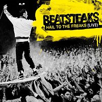 Beatsteaks – Hail To The Freaks [Live]