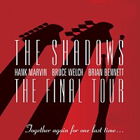 Přední strana obalu CD The Final Tour [Live]