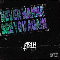 rock band from hell – Never Wanna See You Again