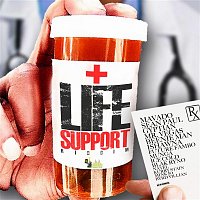 Various  Artists – Life Support Riddim