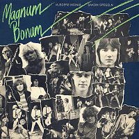 Magnum Bonum – Bakom spegeln