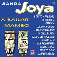 Banda Sinaloense Joya – A Bailar Mambo
