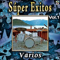 Marimba Orquesta Perla de Chiapas, Marimba Orquesta Corona de Tapachula – Joyas Musicales: Súper Éxitos, Vol. 1