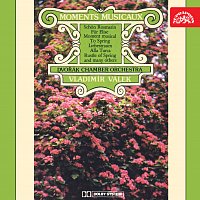 Ivan Klánský, Dvořákův komorní orchestr, Vladimír Válek – Populární skladby mistrů / Moments Musicaux