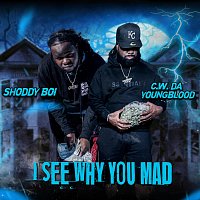 Shoddy Boi, C.W. Da YoungBlood – I See Why You Mad (feat. C.W. Da YoungBlood)