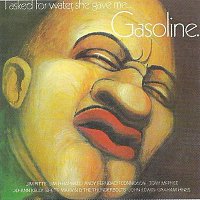 Různí interpreti – I asked for Water, but she gave me Gasoline