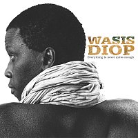 Wasis Diop – Everything Is Never Quite Enough - Best Of