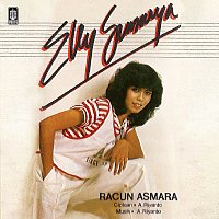 Přední strana obalu CD Racun Asmara