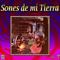 Různí interpreti – Colección De Oro: Sones De Mi Tierra, Vol. 2