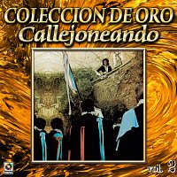 Colección De Oro: Callejoneando Con Las Estudiantinas, Vol. 2