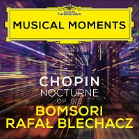 Chopin: Nocturnes, Op. 9: No. 2 in E Flat Major (Transcr. Sarasate for Violin and Piano) [Musical Moments]