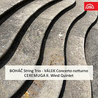 Přední strana obalu CD Boháč: Smyčcové trio - Válek: Concerto notturno - Ceremuga: II. dechový kvintet