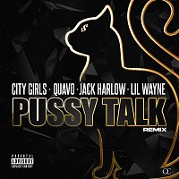 Pussy Talk [Remix]