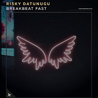 Přední strana obalu CD Breakbeat Fast