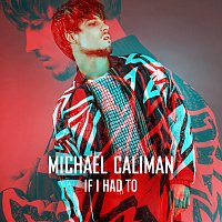 Michael Caliman – If I Had To [From The Voice Of Germany]