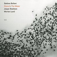 Stefano Bollani Trio – Stone In The Water