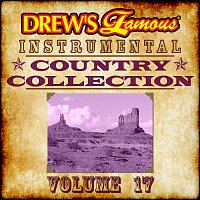 The Hit Crew – Drew's Famous Instrumental Country Collection [Vol. 17]