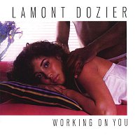 Lamont Dozier – Working On You