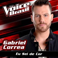 Gabriel Correa – Eu Sei De Cor [The Voice Brasil 2016]