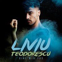 Liviu Teodorescu – Cine m-a pus