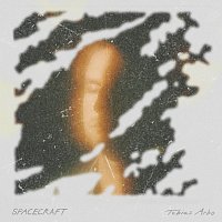 Tobias Arbo – Spacecraft