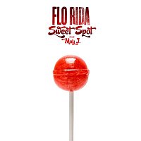 Flo Rida – Sweet Spot (feat. May J.)