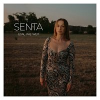 Přední strana obalu CD EGAL WIE WEIT