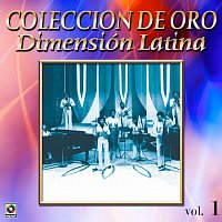 Colección De Oro: A Bailar La Salsa Con Dimensión Latina, Vol. 1