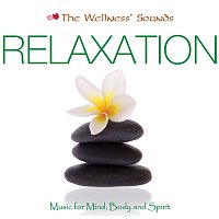 Různí interpreti – The Wellness' Sounds: Music for Mind, Body & Spirit – Relaxation
