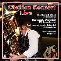 Bezirksblasorchester Brixental, Musikkapelle Westendorf, Musikorchester Brixen – Cacilien Konzert Live im Alpenrosensaal Westendorf