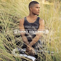 David Sanchez – Melaza