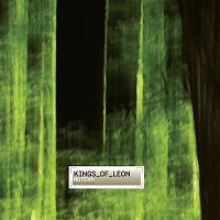 Kings of Leon – Notion