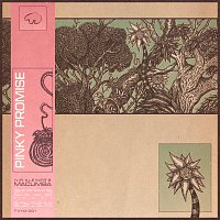 Nir Kleiner's Macumba – Pinky Promise