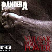 Pantera – Vulgar Display Of Power MP3