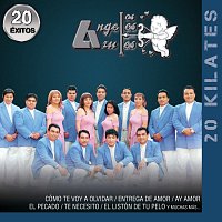 Los Ángeles Azules – 20 Kilates 20 Éxitos