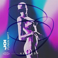 Funkin Matt – Joi