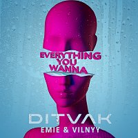 DITVAK, Emie, VILNYY – Everything You Wanna