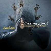 Přední strana obalu CD Missing Spirit