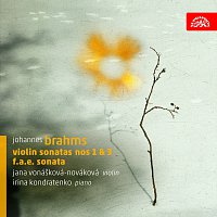 Přední strana obalu CD Brahms: Houslové sonáty
