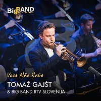 Přední strana obalu CD Voce Nao Sabe (Single Version)