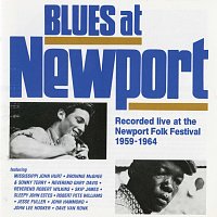 Různí interpreti – Blues At Newport [Live At The Newport Folk Festival 1959 - 1964]