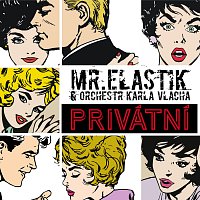 Mr.Elastik, Orchestr Karla Vlacha – Privátní FLAC
