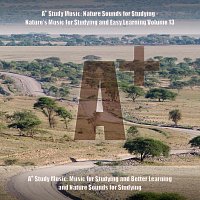 A+ Study Music: Music for Studying and Better Learning and Nature Sounds for Studying – A+ Study Music: Nature Sounds for Studying - Nature's Music for Studying and Easy Learning, Vol. 13