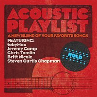Různí interpreti – Acoustic Playlist: Bold - A New Blend Of Your Favorite Songs
