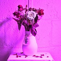 Resister – Sarah