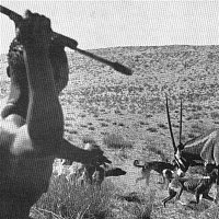 Přední strana obalu CD Boys' Life