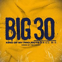 BIG30 – King Of My Projects [Grizz Mix]