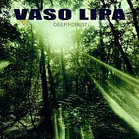 Vaso Lipa – Deep Forest FLAC
