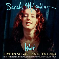 Sarah McLachlan – Wait [Live in Sugar Land, TX / 2024]